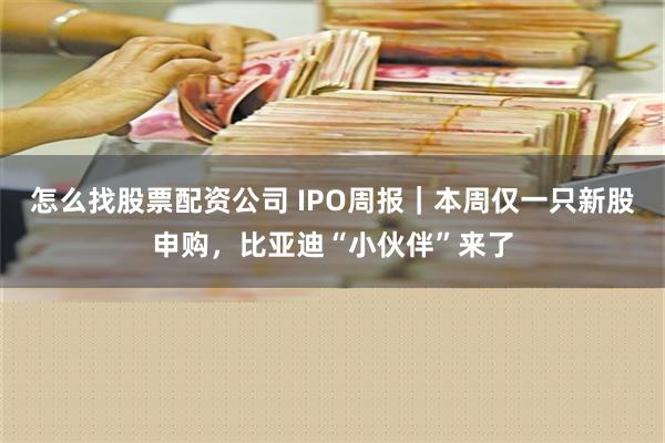 怎么找股票配资公司 IPO周报｜本周仅一只新股申购，比亚迪“小伙伴”来了