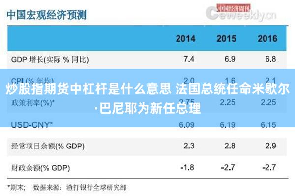 炒股指期货中杠杆是什么意思 法国总统任命米歇尔·巴尼耶为新任总理