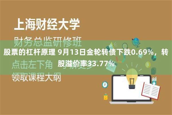 股票的杠杆原理 9月13日金轮转债下跌0.69%，转股溢价率33.77%