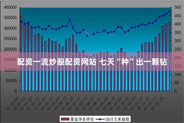 配资一流炒股配资网站 七天“种”出一颗钻