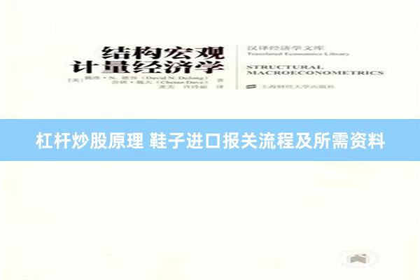 杠杆炒股原理 鞋子进口报关流程及所需资料
