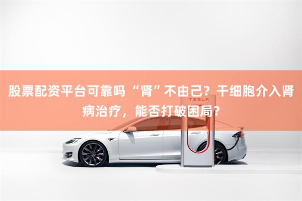 股票配资平台可靠吗 “肾”不由己？干细胞介入肾病治疗，能否打破困局？