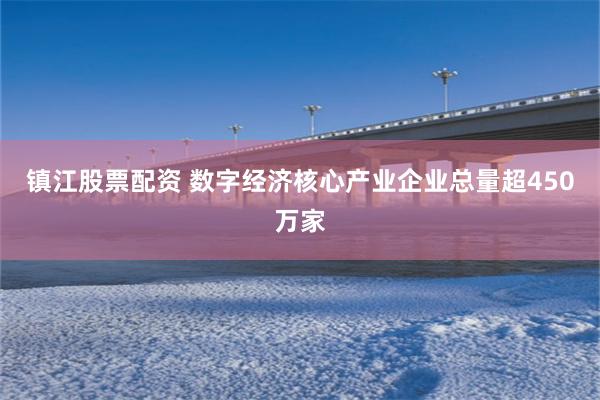 镇江股票配资 数字经济核心产业企业总量超450万家