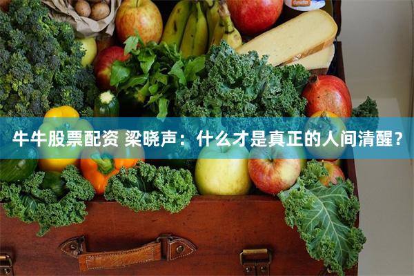 牛牛股票配资 梁晓声：什么才是真正的人间清醒？