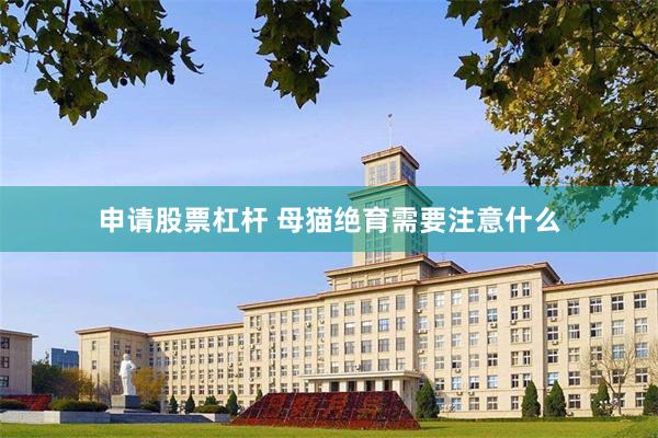 申请股票杠杆 母猫绝育需要注意什么