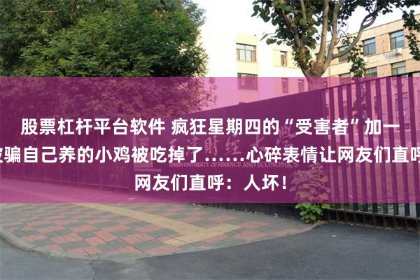 股票杠杆平台软件 疯狂星期四的“受害者”加一！狗子被骗自己养的小鸡被吃掉了……心碎表情让网友们直呼：人坏！