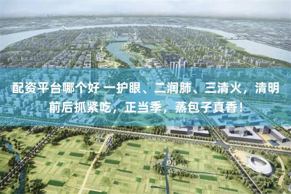 配资平台哪个好 一护眼、二润肺、三清火，清明前后抓紧吃，正当季，蒸包子真香！