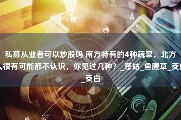 私募从业者可以炒股吗 南方特有的4种蔬菜，北方人很有可能都不认识，你见过几种？_慈姑_鱼腥草_茭白