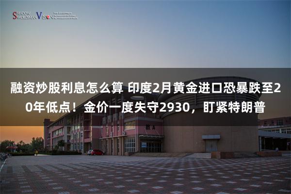 融资炒股利息怎么算 印度2月黄金进口恐暴跌至20年低点！金价一度失守2930，盯紧特朗普
