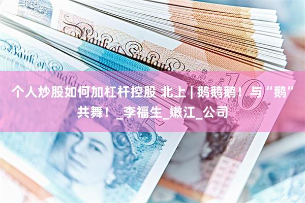 个人炒股如何加杠杆控股 北上 | 鹅鹅鹅！与“鹅”共舞！_李福生_嫩江_公司
