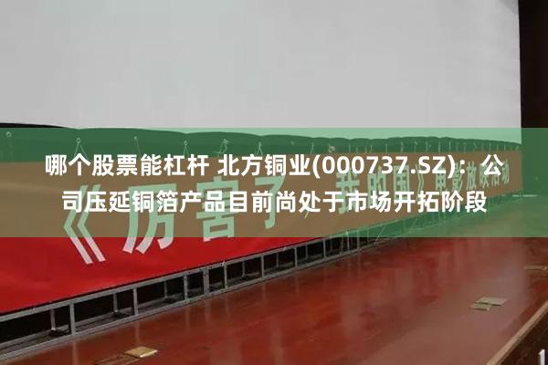 哪个股票能杠杆 北方铜业(000737.SZ)：公司压延铜箔产品目前尚处于市场开拓阶段