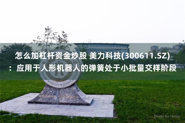 怎么加杠杆资金炒股 美力科技(300611.SZ)：应用于人形机器人的弹簧处于小批量交样阶段