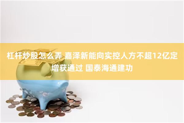 杠杆炒股怎么弄 嘉泽新能向实控人方不超12亿定增获通过 国泰海通建功