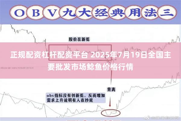 正规配资杠杆配资平台 2025年7月19日全国主要批发市场鲶鱼价格行情