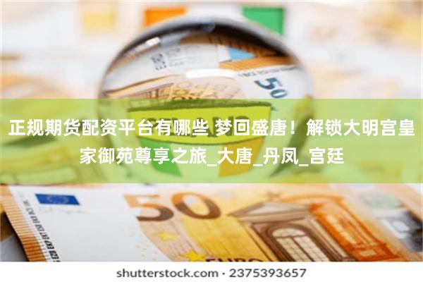正规期货配资平台有哪些 梦回盛唐！解锁大明宫皇家御苑尊享之旅_大唐_丹凤_宫廷