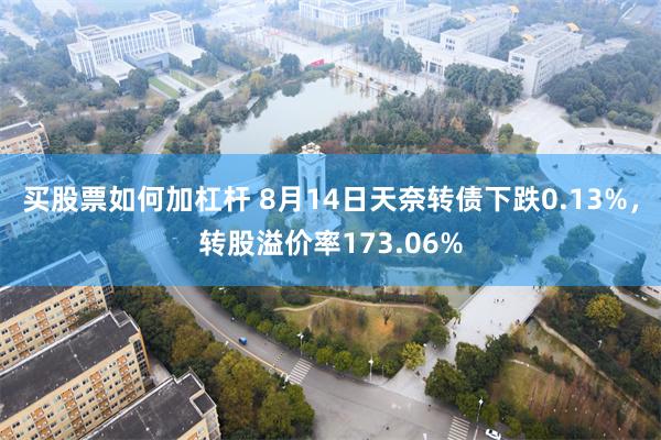 买股票如何加杠杆 8月14日天奈转债下跌0.13%，转股溢价率173.06%