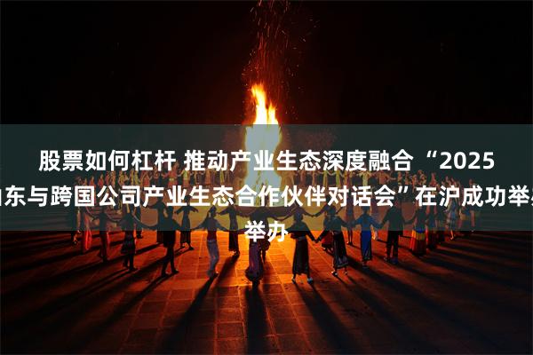 股票如何杠杆 推动产业生态深度融合 “2025山东与跨国公司产业生态合作伙伴对话会”在沪成功举办